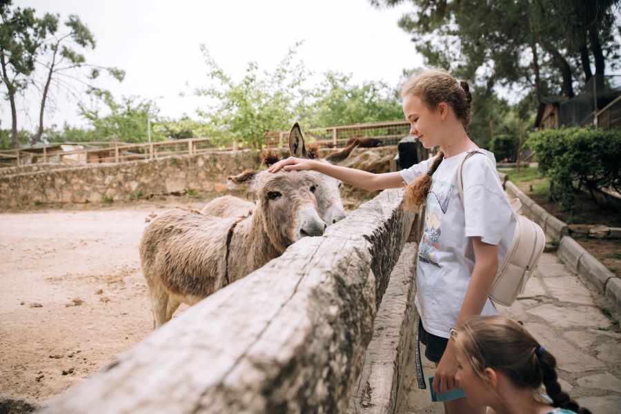 Najvacsie-zoologicke-zahrady-na-svete-(1).jpg