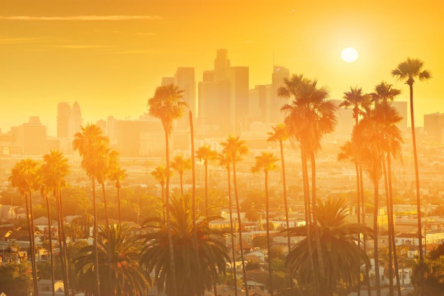 Neplatene-programy-v-Los-Angeles-(1).jpg