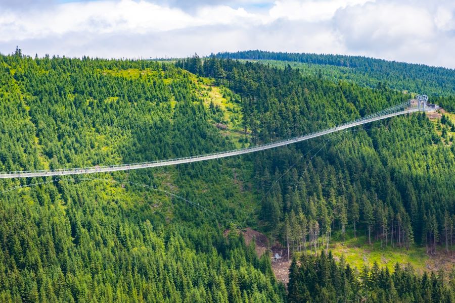 SkyBridge-721-(1).jpg
