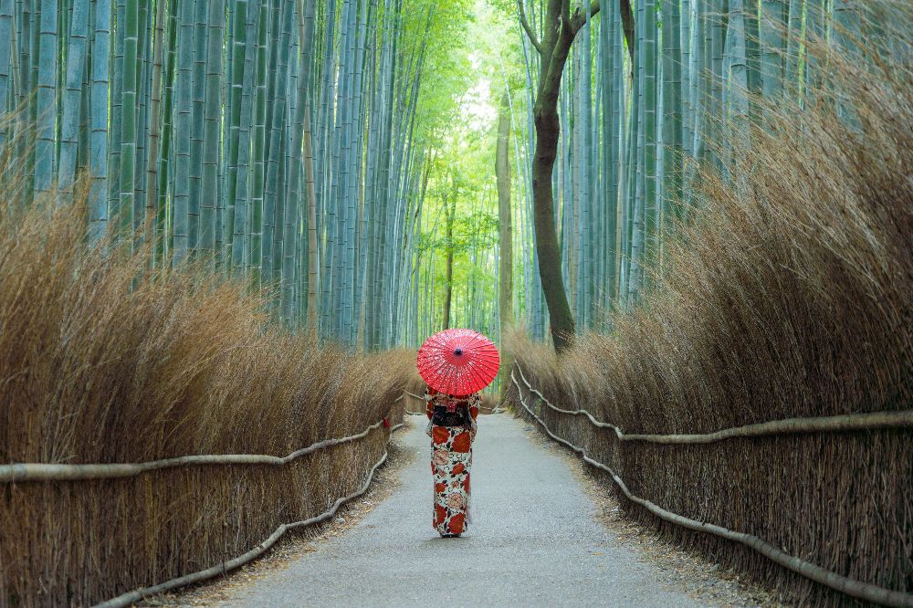 Uzasne-japonske-bambusove-lesy-(1).jpeg