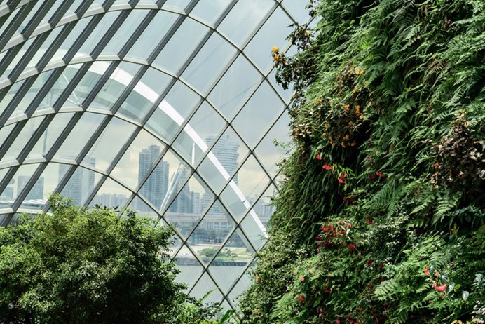 Singapur zaujímavosti